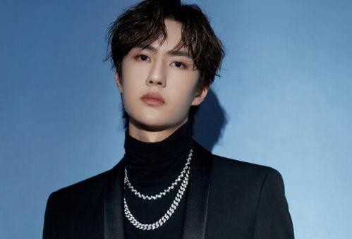 王一博姐弟恋爆料视频,揭秘背后真相与网友热议